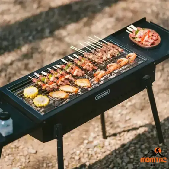 گریل ایستاده چند منظوره نیچرهایک مدل CNK2550CF013