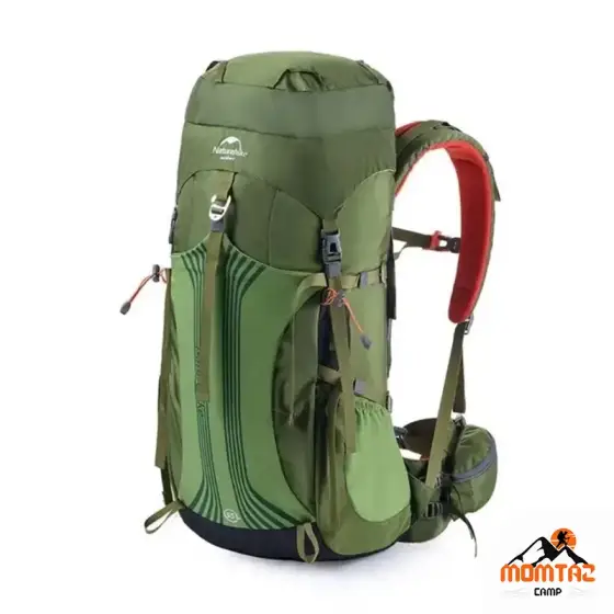 کوله پشتی کوهنوردی 55 لیتری نیچرهایک مدل NH16Y020-Q